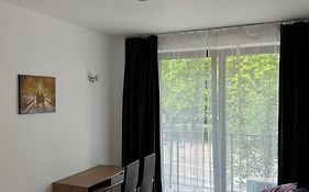Amber Hostel Szlak